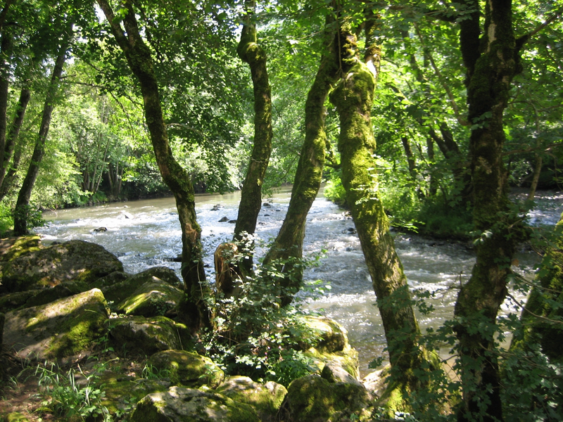 © bord de Sioule - Amis chartreuse