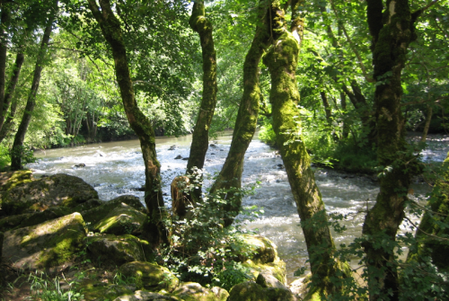 Le circuit Loutre de la Chartreuse Port Sainte Marie