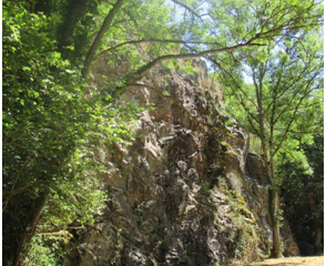 © Mur d'escalade - Amis chartreuse