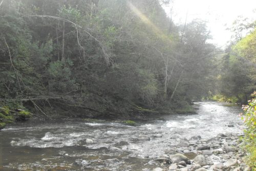 Site de pêche - Rivière La Dordogne