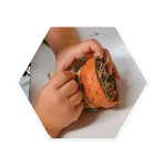 © At-Nichoir.png - La Ruche des Puys