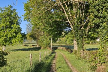 © Gîte Petit Pilard Gouttières en Auvergne - L. Meeuwsen