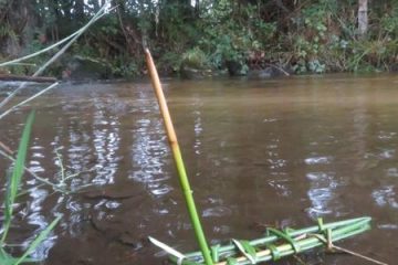 © Atelier - Jouets buissonniers - DENDELION