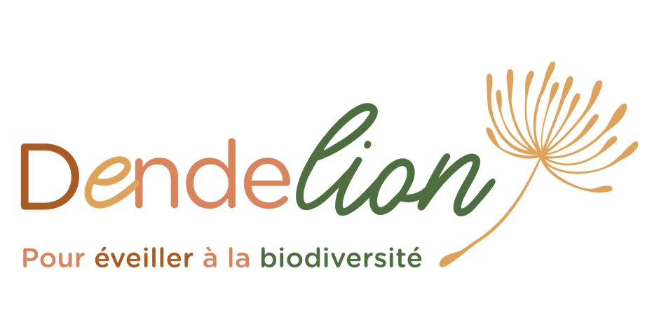 © Atelier - Jouets buissonniers - DENDELION