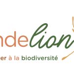 © Atelier - Jouets buissonniers - DENDELION