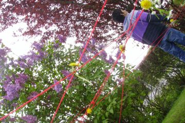 © Atelier - Découverte de la nature - DENDELION