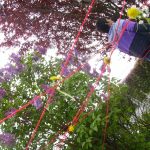 © Atelier - Découverte de la nature - DENDELION