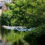 © environnement - Le Moulin de Lachaux