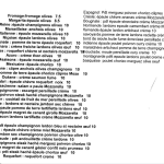 © Fred Pizza - Les Ancizes Comps_Les Ancizes-Comps - Fred Pizza