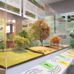 © Maquette sur la haie au fil des saisons - Salle des paysages - Maison de la Combraille