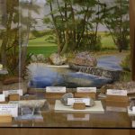 © Géologie - Montluçon Communauté