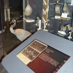 © Borne interactive sur les oiseaux - Maison de la Combraille