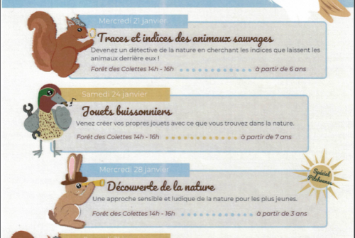 Atelier - Traces et indices des animaux sauvages