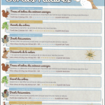 © Traces et indices des animaux sauvages_Saint-Éloy-les-Mines - Dendelion