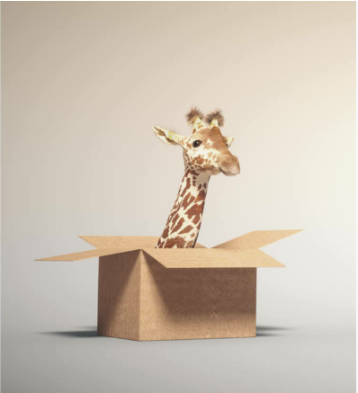 © Micro-Folie - Les après midi des petits_Saint-Éloy-les-Mines - Microfolie Saint-Eloy-les-Mines