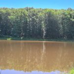 © Etang des Cayers - Beaufils Sébastien