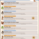 © Atelier - Découverte de la nature_Saint-Éloy-les-Mines - Dendelion