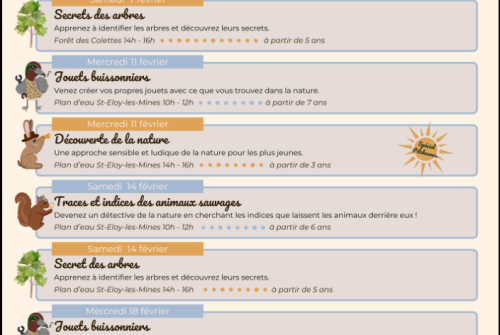 Atelier - Découverte de la nature