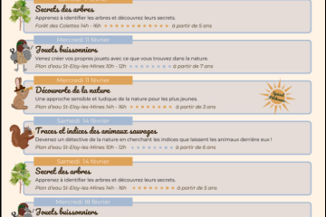 © Atelier - Jouets buissonniers_Saint-Éloy-les-Mines - Dendelion