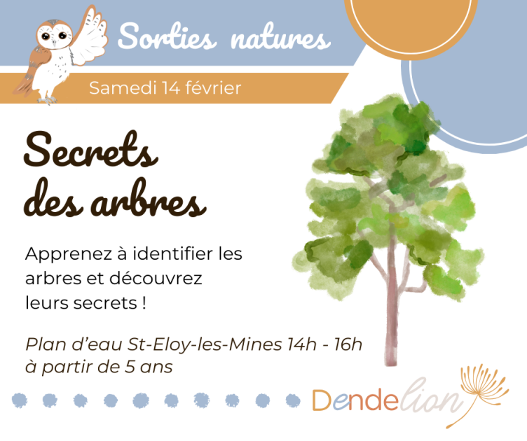 © Atelier - Secrets des arbres_Saint-Éloy-les-Mines - Dendelion
