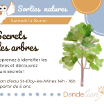 © Atelier - Secrets des arbres_Saint-Éloy-les-Mines - Dendelion