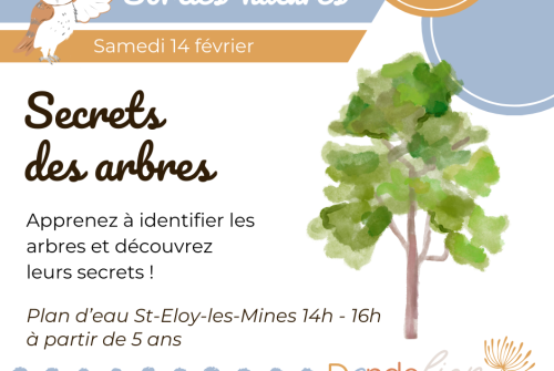 Atelier - Secrets des arbres