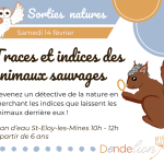 © Atelier - Traces et indices des animaux sauvages_Saint-Éloy-les-Mines - Dendelion