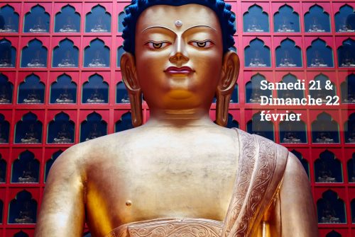 Sur les Pas du Bouddha