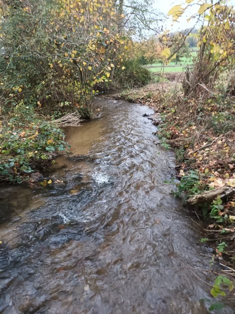 © Site de pêche - Rivière La Bouble_Saint-Éloy-les-Mines - AAPPMA les gaules reunies Bouble et Sioule