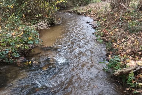 Site de pêche - Rivière La Bouble