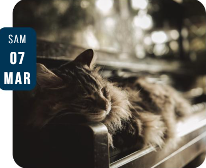 © Sieste musicale -Au fil des émotions_Saint-Éloy-les-Mines - Médiathèque