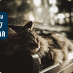 © Sieste musicale -Au fil des émotions_Saint-Éloy-les-Mines - Médiathèque