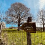 © Le jardin - ®LePetitRefuge