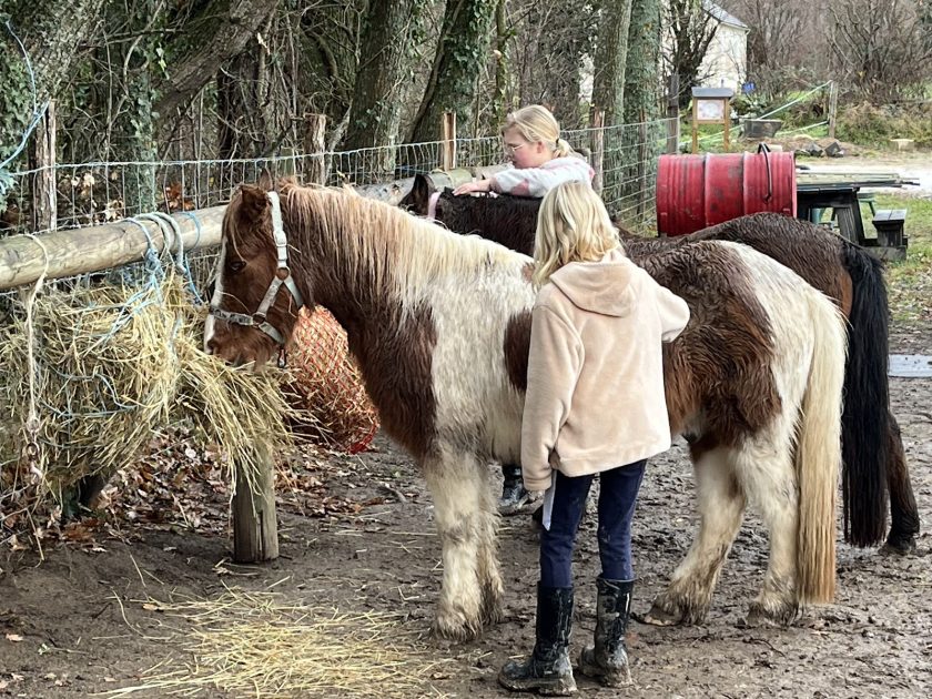 © séance hivernale,  enfants. - pénélope laméris