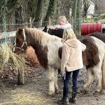 © séance hivernale,  enfants. - pénélope laméris