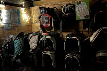 © petite sellerie - pénélope laméris