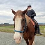 © jument "trait" douce :) - pénélope laméris