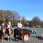 © les jeux à poney : c'est du sérieux ! - pénélope laméris