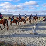 © une team synchro au top ! - pénélope laméris