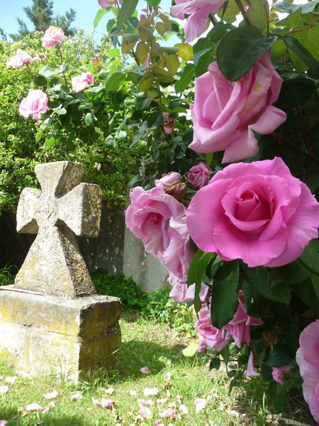 © Yssac-la-Tourette - OT Pays des Combrailles