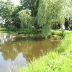 © Gite de Chateaubrun - Gite de Chateaubrun