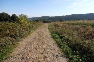 © Chez Sagouix - Office de Tourisme des Combrailles