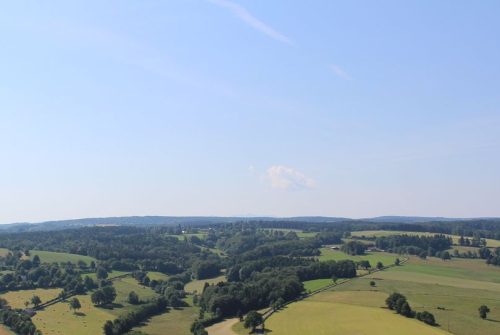 Forêt Bunlay-Les-Rouchons