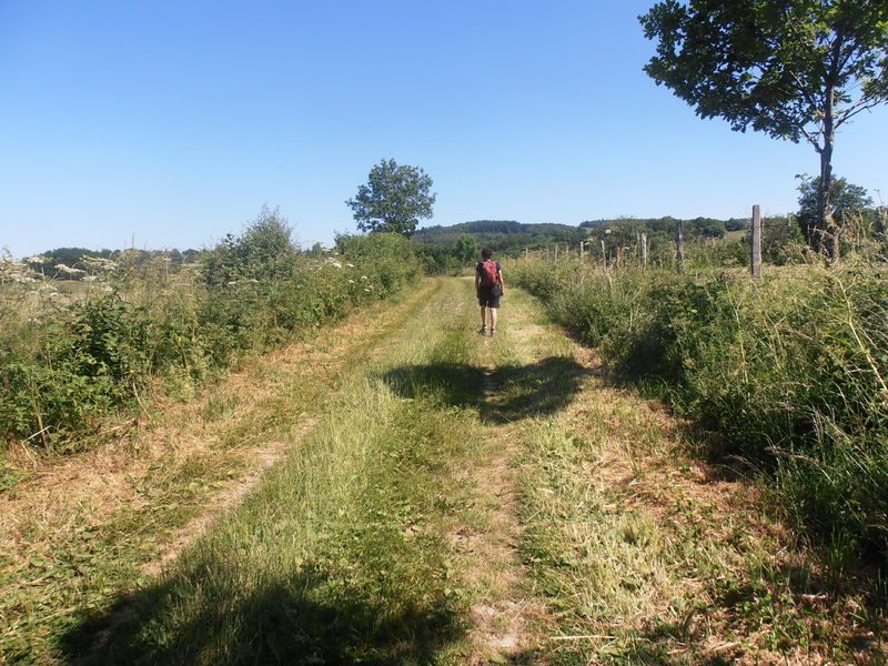 © Randonnée "Aux sources de la Morge" - Office de Tourisme des Combrailles