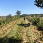 © Randonnée "Aux sources de la Morge" - Office de Tourisme des Combrailles