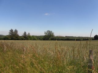 © Randonnée "Aux sources de la Morge" - Office de Tourisme des Combrailles