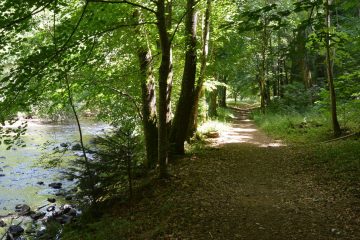 © Les gorges du Sioulet - Office de Tourisme des Combrailles