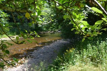 © Les gorges du Sioulet - Office de Tourisme des Combrailles