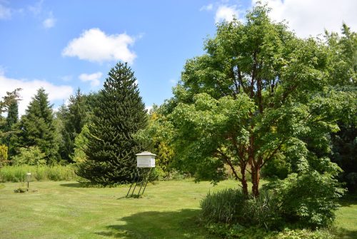 Arboretum de Haute Combraille