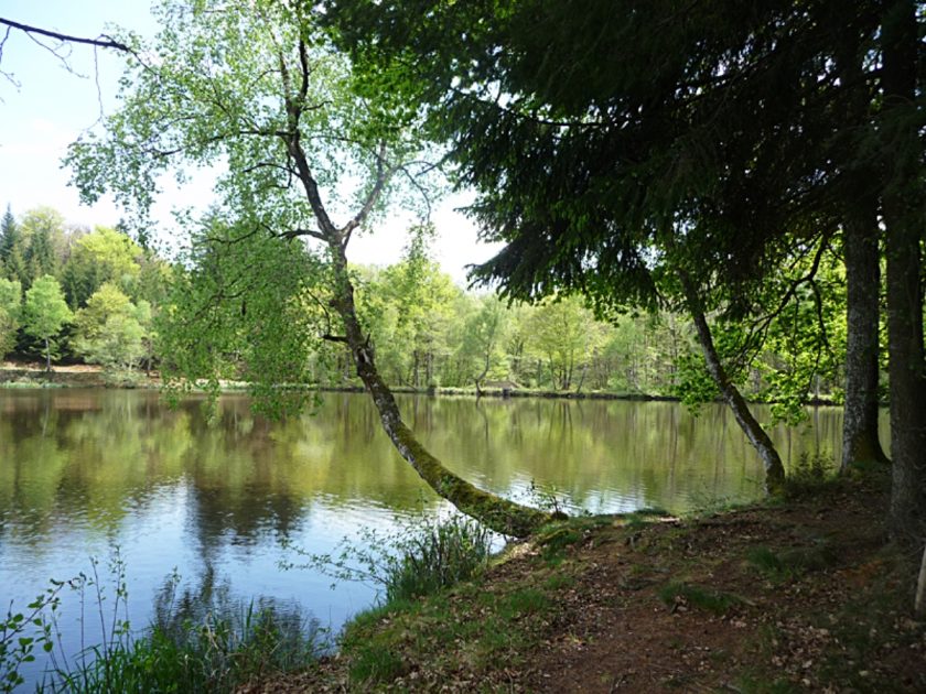 © Moulin du Grand Léger - Montel